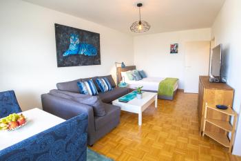 Bright Apartment with Balcony near Messe - Special BLUE TIGER Apartment, Basel, up to 4 guests, Basilea (foto 3)