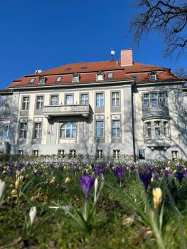 Hotel Willa Starosty, Międzyrzecz (photo 3)