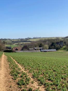Five Cottages in AONB, Ashford (fotografie 4)