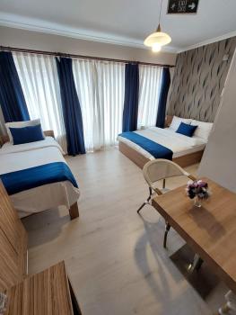 Aslan Home Apart, Istanbul (fotografie 2)