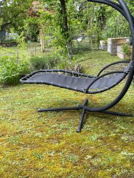 Fußball-Hochburg! Gartenparadies für Campen/Zelten, Stuttgart (foto 5)