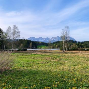Waldnest, Kitzbühel (foto 5)