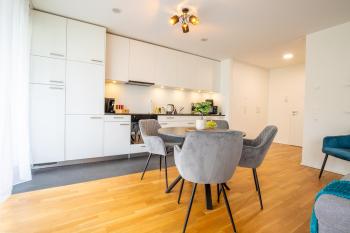 Spacious Apartment near Messe - Special EINSTEIN IIV Apartment, Basel, up to 6 guests, Базель (фото 5)
