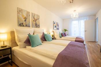 Spacious Apartment near Messe - Special EINSTEIN IIV Apartment, Basel, up to 6 guests, Базель (фото 3)