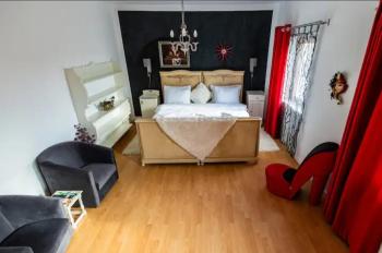 Vila Herodot, Timişoara (foto 3)