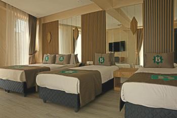 Bizim Hotel, Стамбул (фото 5)