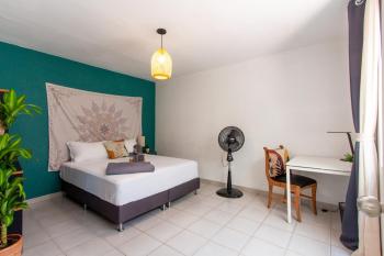 CoNomad House - Coliving & Coworking, Medellín (photo 5)