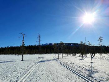 Kelotupa 19, Syöte (foto 2)