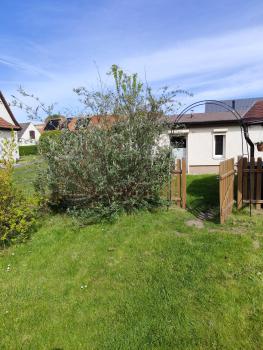 Sonnengarten, Ückeritz (photo 4)