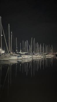 Waterlife, Lisabon (fotografie 4)