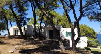 House in pines in front of the sea, Vourvourou (foto 3)