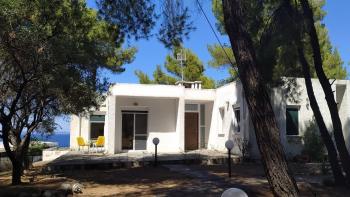 House in pines in front of the sea, Vourvourou (foto 4)