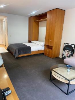 Cosy City Centre studio w/ balcony, Auckland (photo 2)