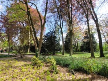 Mit Blick in den Emsseepark, Warendorf (foto 3)