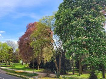 Mit Blick in den Emsseepark, Warendorf (foto 5)