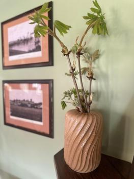 Vila Flora, Юодкранте (фото 4)