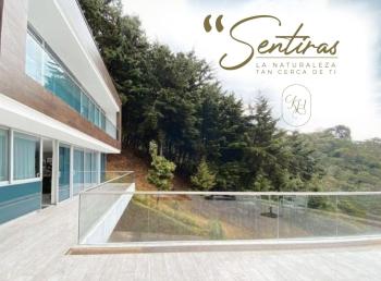 Kelly's House, Medellín (zdjęcie 5)