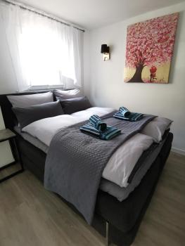 Apartment bei der Palme mit Sauna Möglichkeit, Düsseldorf (Foto 3)