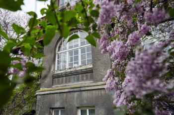 29 Avenue Apartments, Cracovie (photo 4)