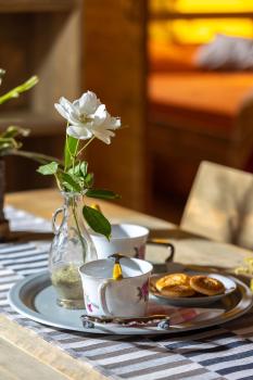 Il Pruno - Luxury Tent, San Giuliano Terme (fotografie 4)