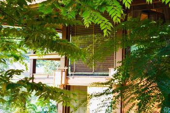 Harmony Botanical Garden Stay - 300 Plant Species & Natural Stream in the Heart of Buon Ma Thuot, Buon Ma Thuot (foto 2)