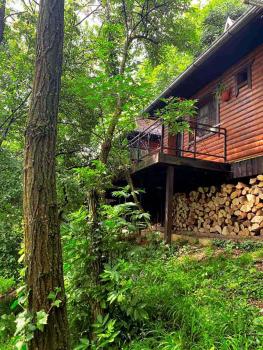 Distrikt Ranč Platan - Jus naturale, Fruška gora, Vrdnik (foto 3)