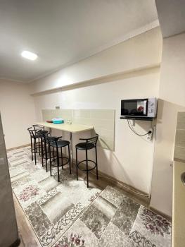 2 комнатная квартира студио на Иссык куле, Chok-Tal (foto 3)