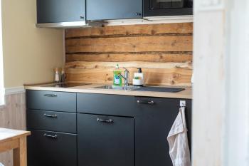 Garden Studio next to Telliskivi & Old Town, Tallin (foto 3)