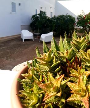 B&B Bell'aria, Monopoli (foto 2)