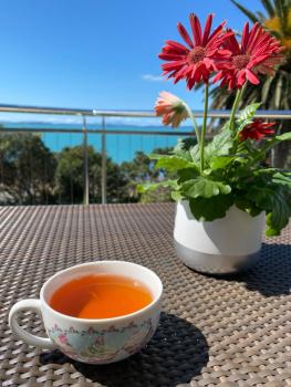Mellons Bay Retreat, Auckland (foto 4)