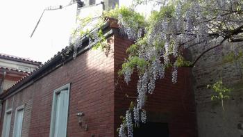 la toulousaine de Clô, Toulouse (photo 5)