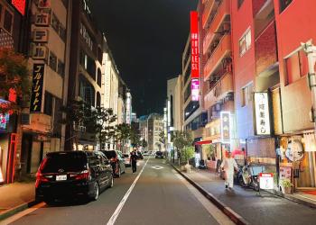 Hills Hotel Gotanda, Tokio (fotografie 5)
