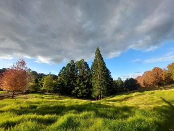 Cottage in The Woods, Maleny, Maleny (foto 5)