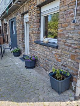 Hill-Suite, Cochem (foto 2)