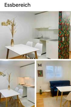 25m2 Studio with Kitchen in Zürich, Zúrich (foto 3)