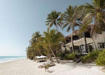 Casa Gitano, Tulum (photo 5)