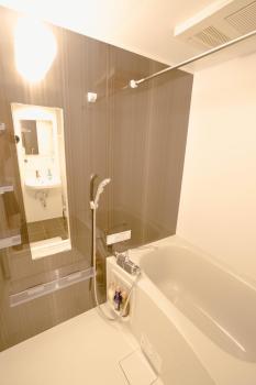 FL Residence Seeikokan III, Токио (фото 5)