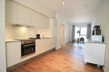 2-BR apartment with a balcony in Ørestaden - 168, Copenhagen (photo 5)