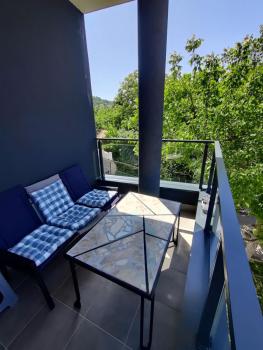 Apartman Sofija, Banja Koviljača (foto 4)