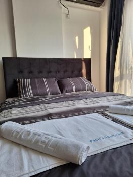 Petar's Apartment 3, Skopje (fotografie 3)