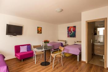 Apartmany Tereza & free parking, Братислава (фото 5)