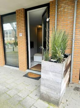 010 Studio City Center Rotterdam, Róterdam (foto 2)