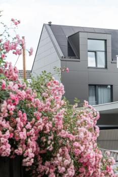 Designapartment Salzburg, Salisburgo (foto 5)