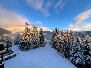 THE ALPINE STUDIO by the ski slopes & lake Frience, Gryon (foto 3)