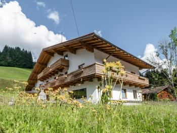 Mooshäusl, Hopfgarten im Brixental (fotografie 2)