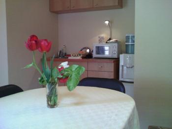Avel Guest House, Sofia (Foto 2)