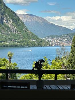 LuganoLake, Bissone (foto 3)