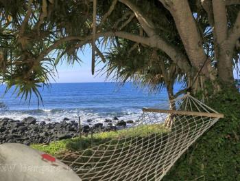 PRIVATE OCEAN FRONT, PET FRIENDLY OASIS!, Bargara (foto 5)