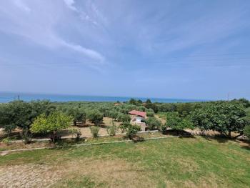 rizoma, Preveza (fotografie 3)