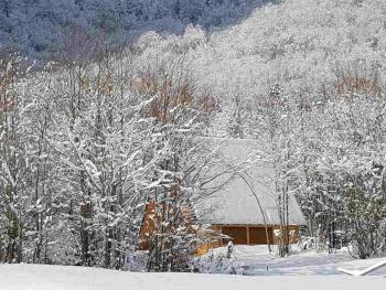 Harmony, Dolja (photo 4)